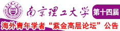 午夜人兽网站在线看南京理工大学第十四届海外青年学者紫金论坛诚邀海内外英才！
